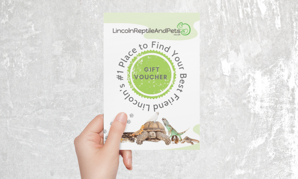 Gift Certificate